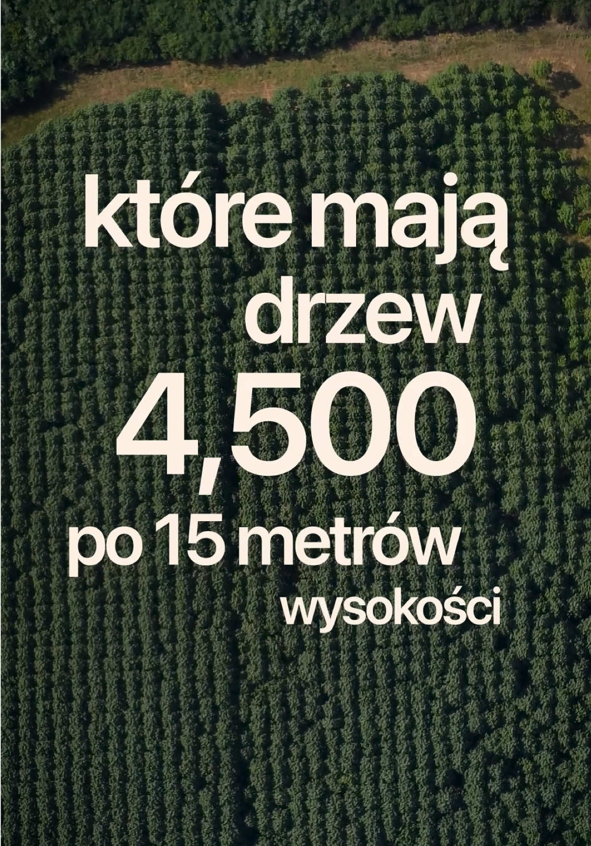 @greenlungspoland