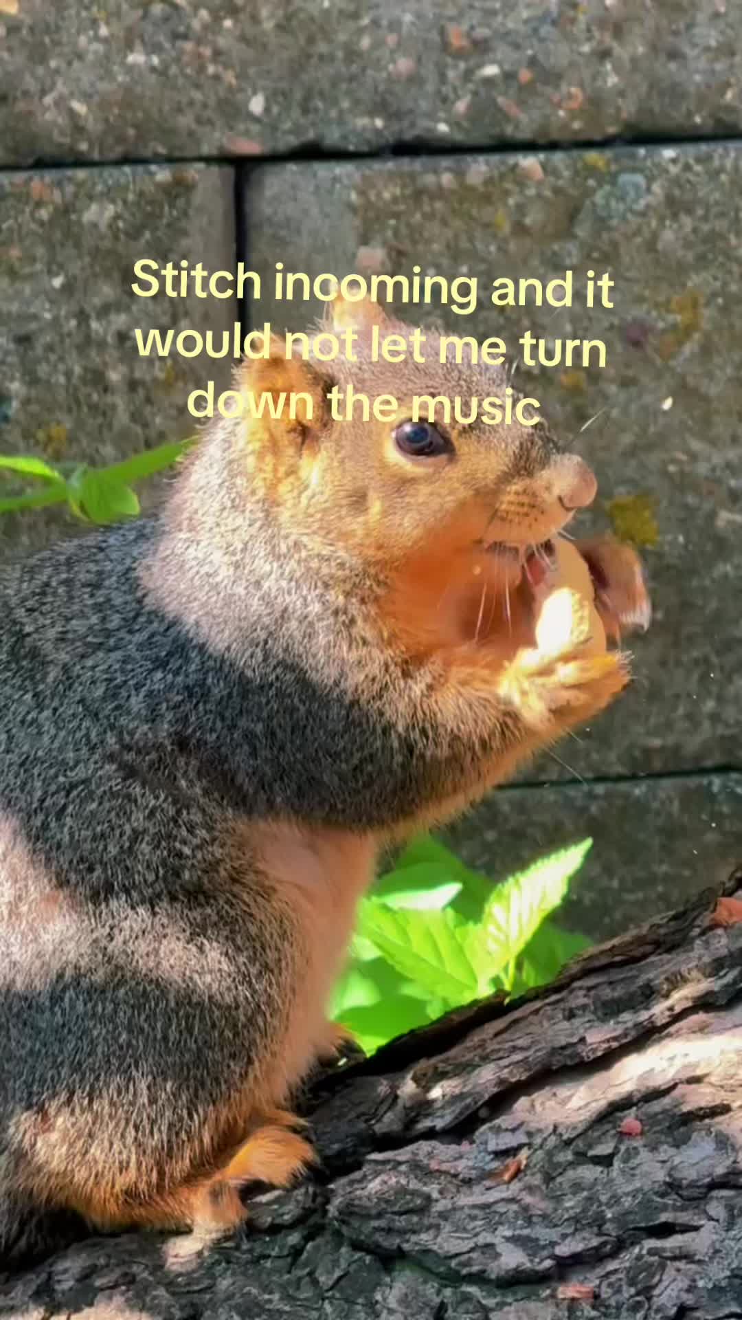 @Anita