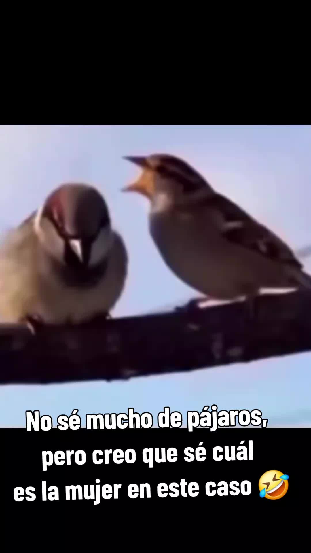 @Peter e Nevarez