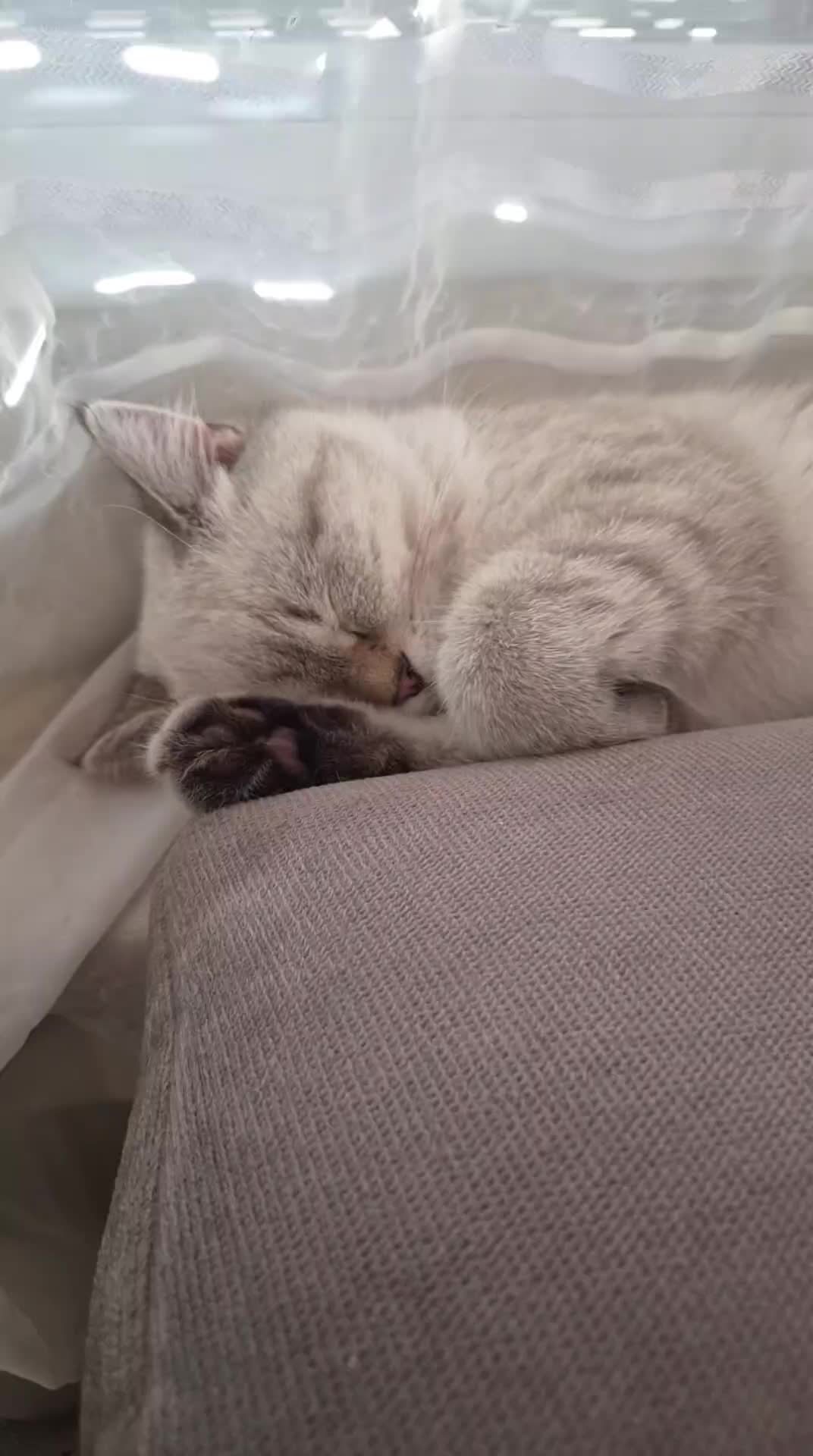 @😽