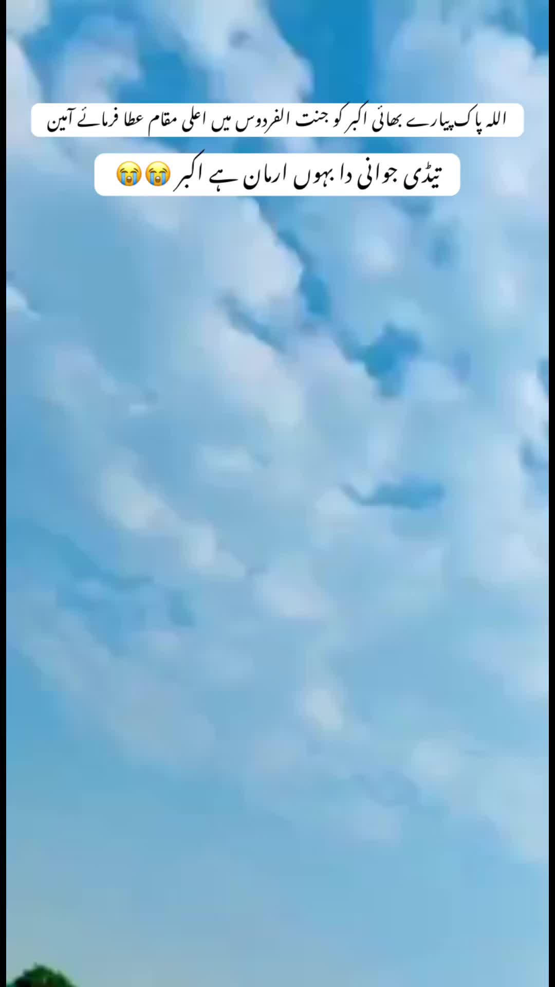 @Faisii 23