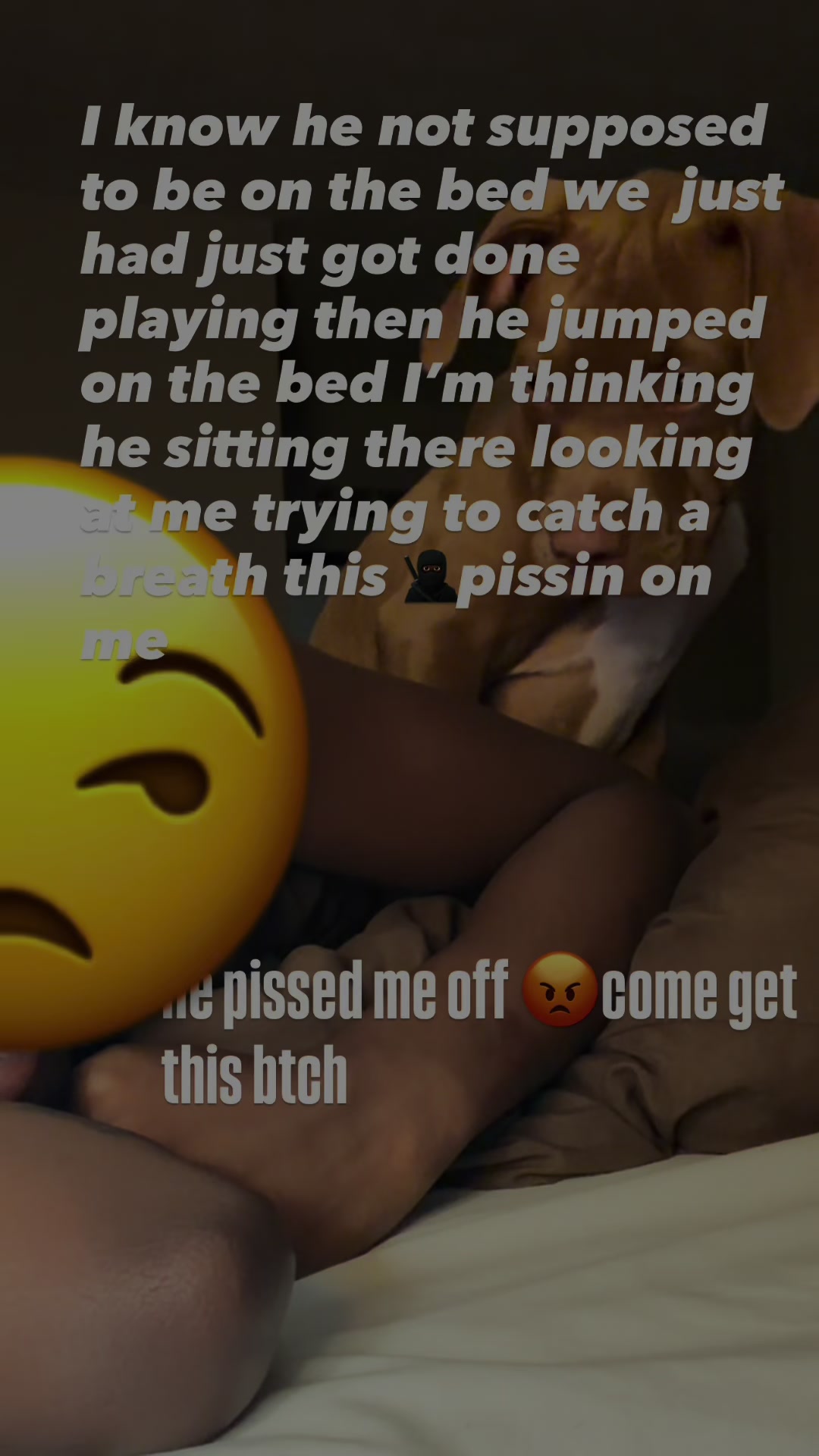 @Tiy