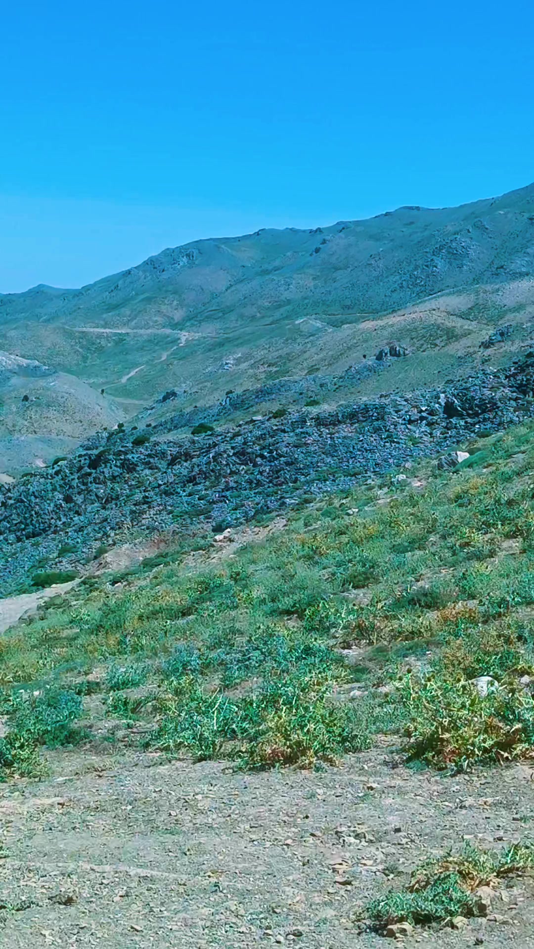 @DAĞCI.46