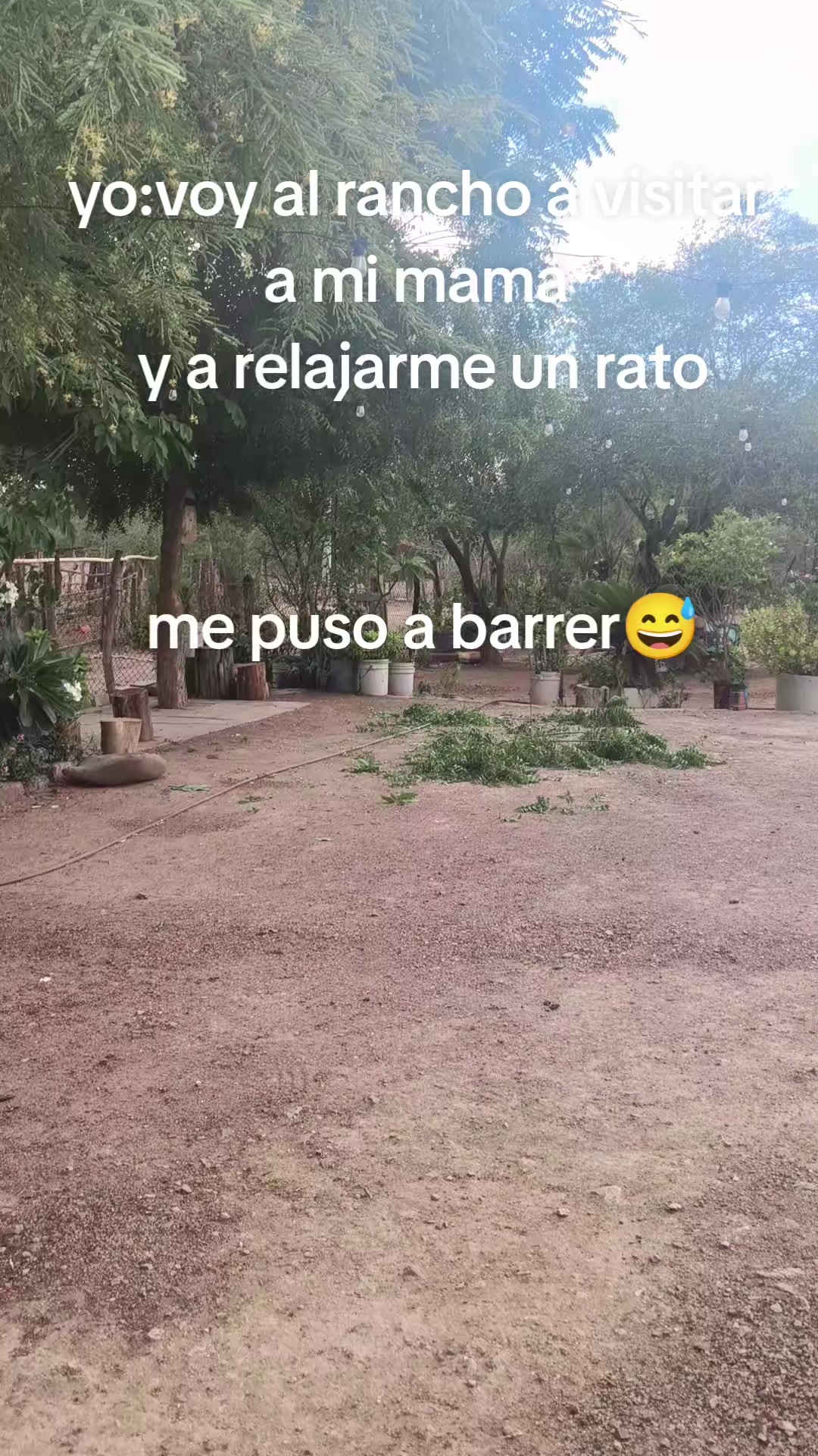 @Marlen Calderón