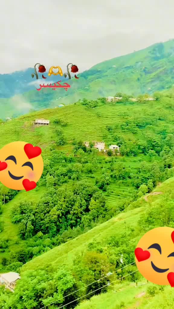 @WAQAR AHMAD ❤️love botany 🌴