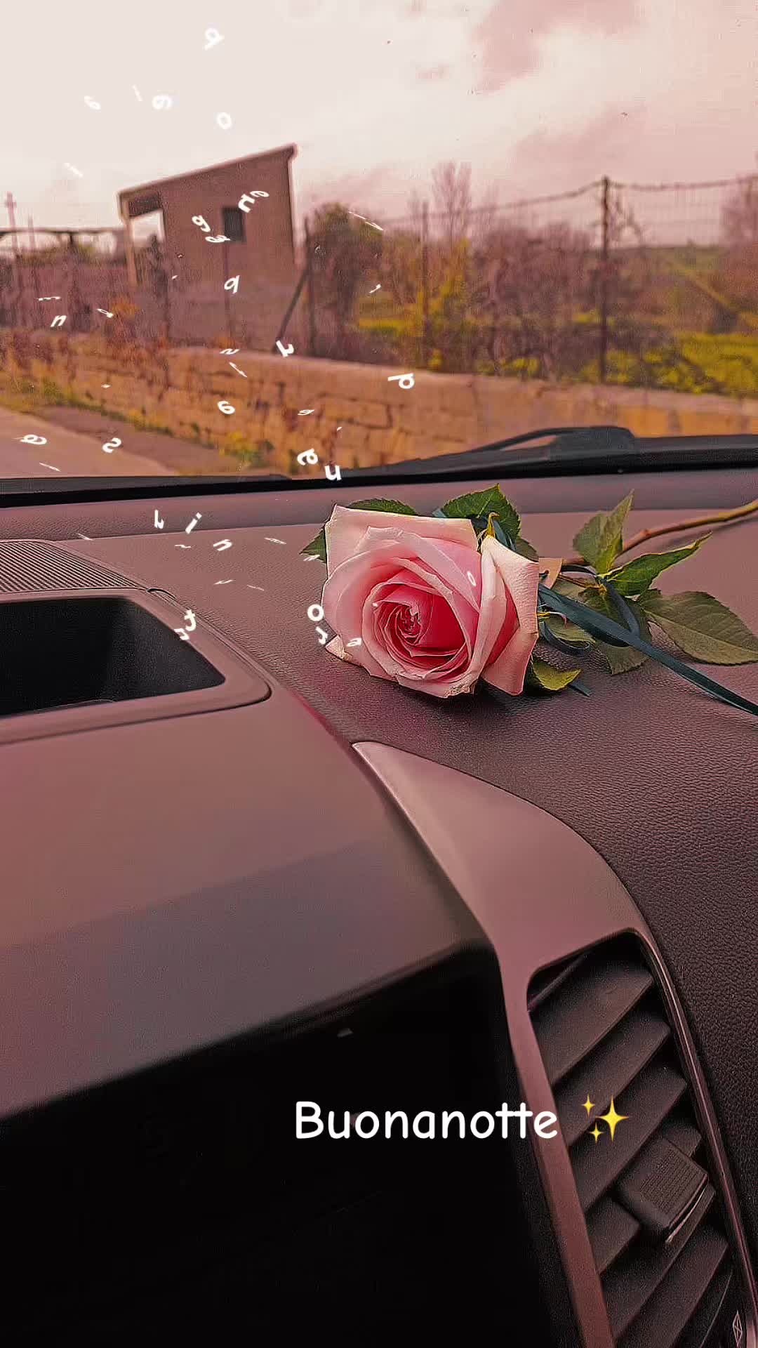 @Oriana&Seby🕯️therev🕯️🖤GF🖤