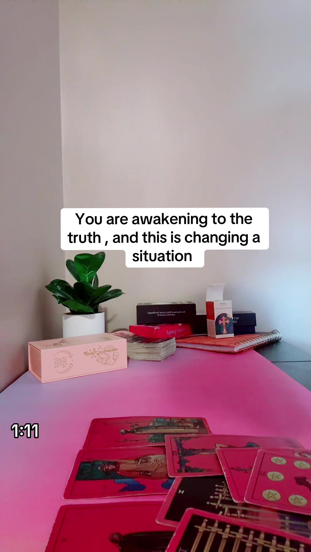 @Intuitivesativa