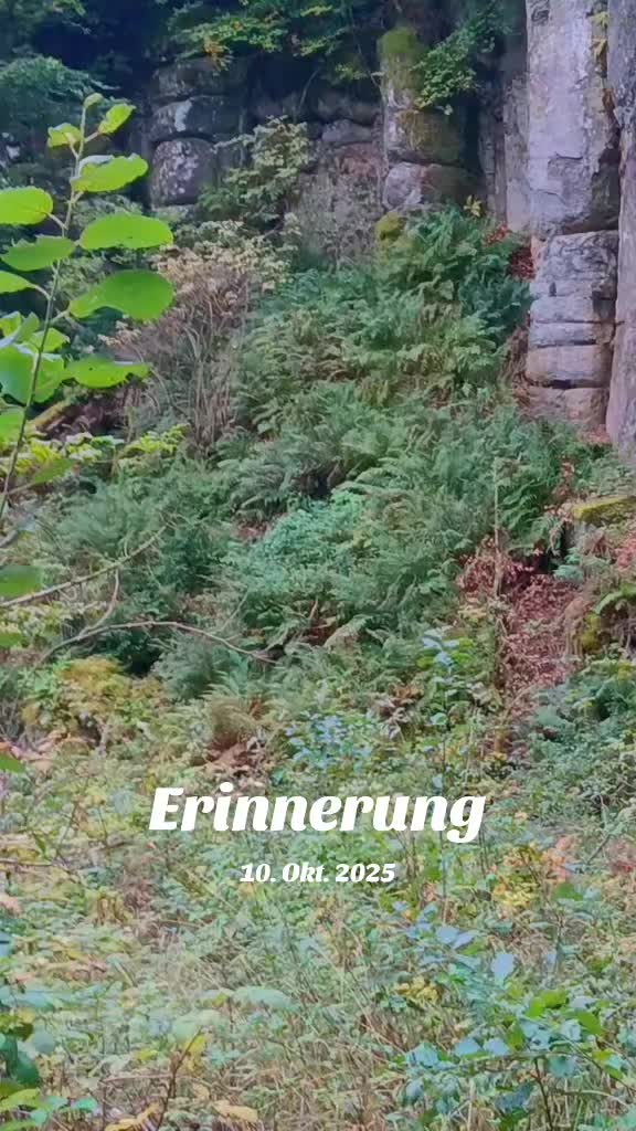 @🔨🔩🏞Fritzelfred125🤯