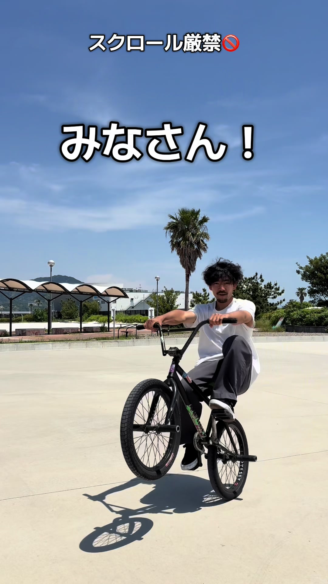 @ノジコフ