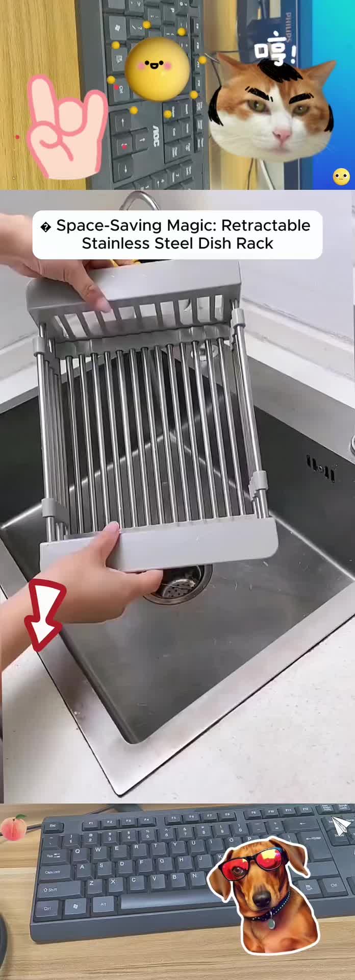 @hhdop988