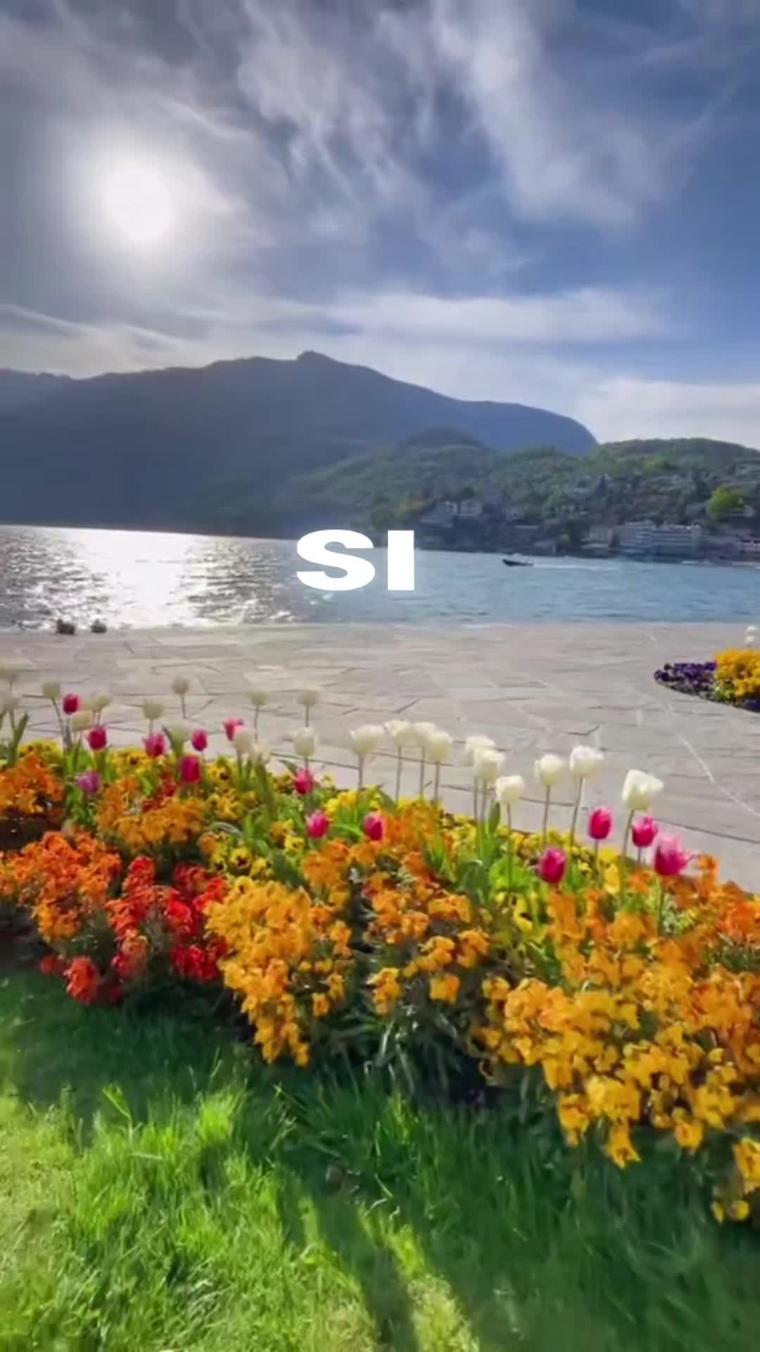 @untoqueatodoamimanera