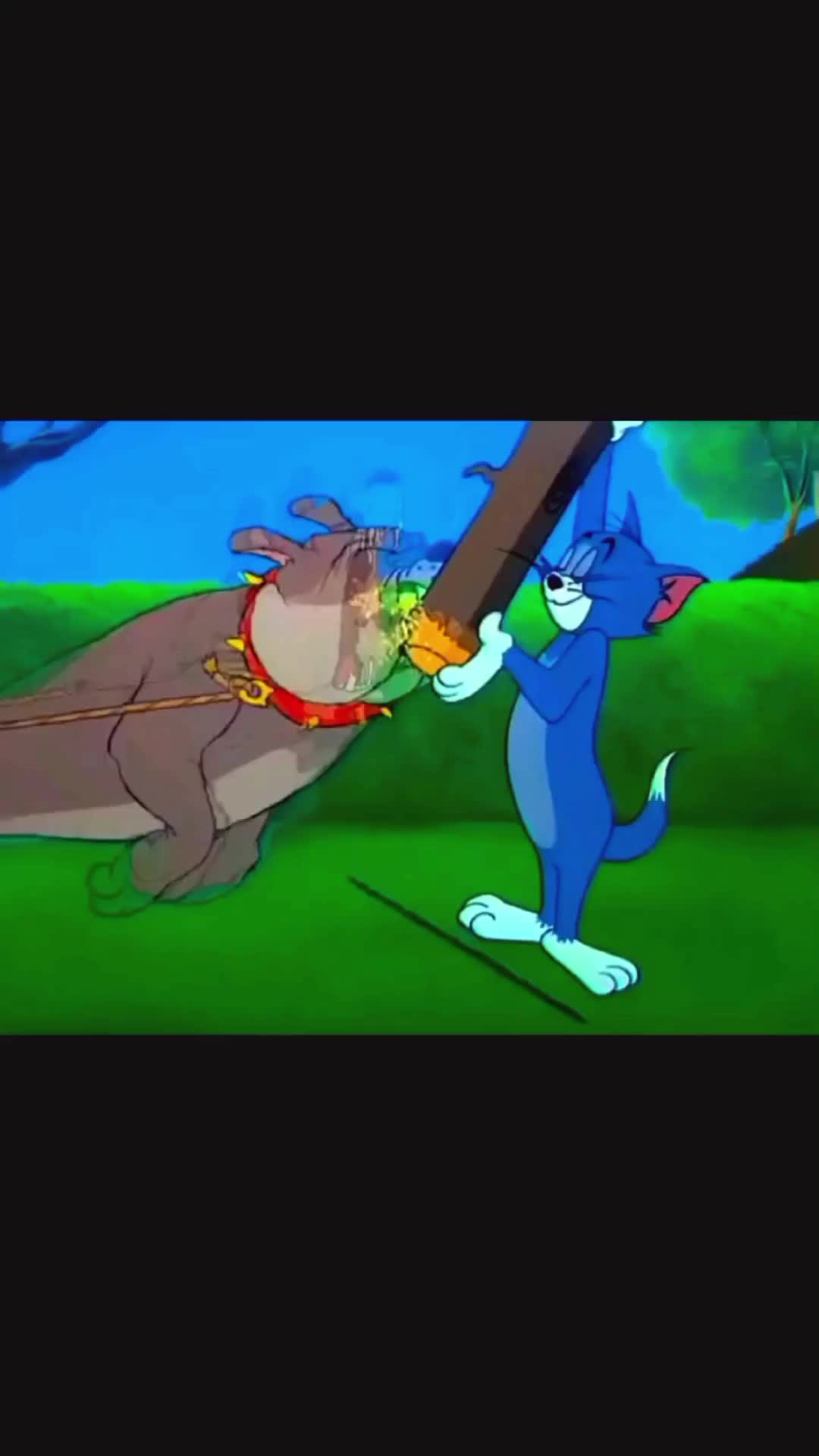 @videsh