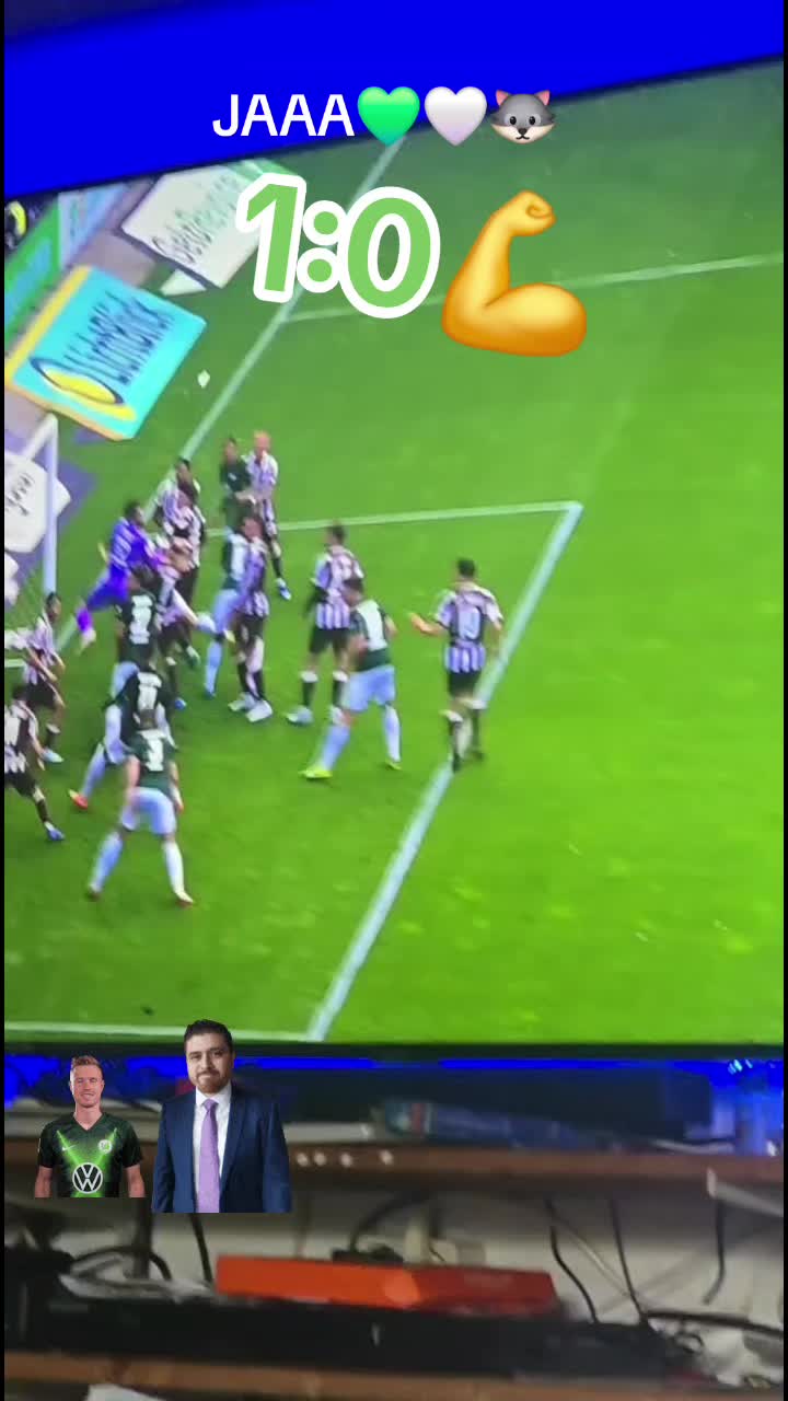 @PaulWolf🐺💚🤍