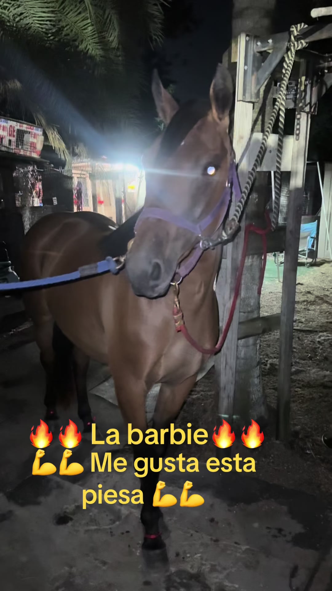 @🔥🔥❤️EL FEO ❤️🔥🔥