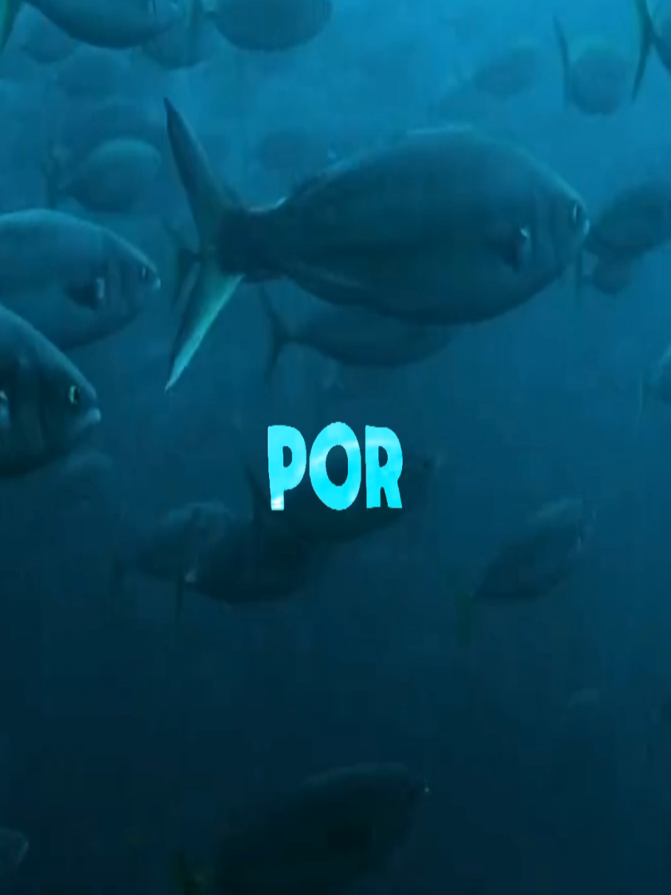 @𝗠𝗨𝗦𝗜𝗖 𝗩𝗜𝗕𝗘𝗦