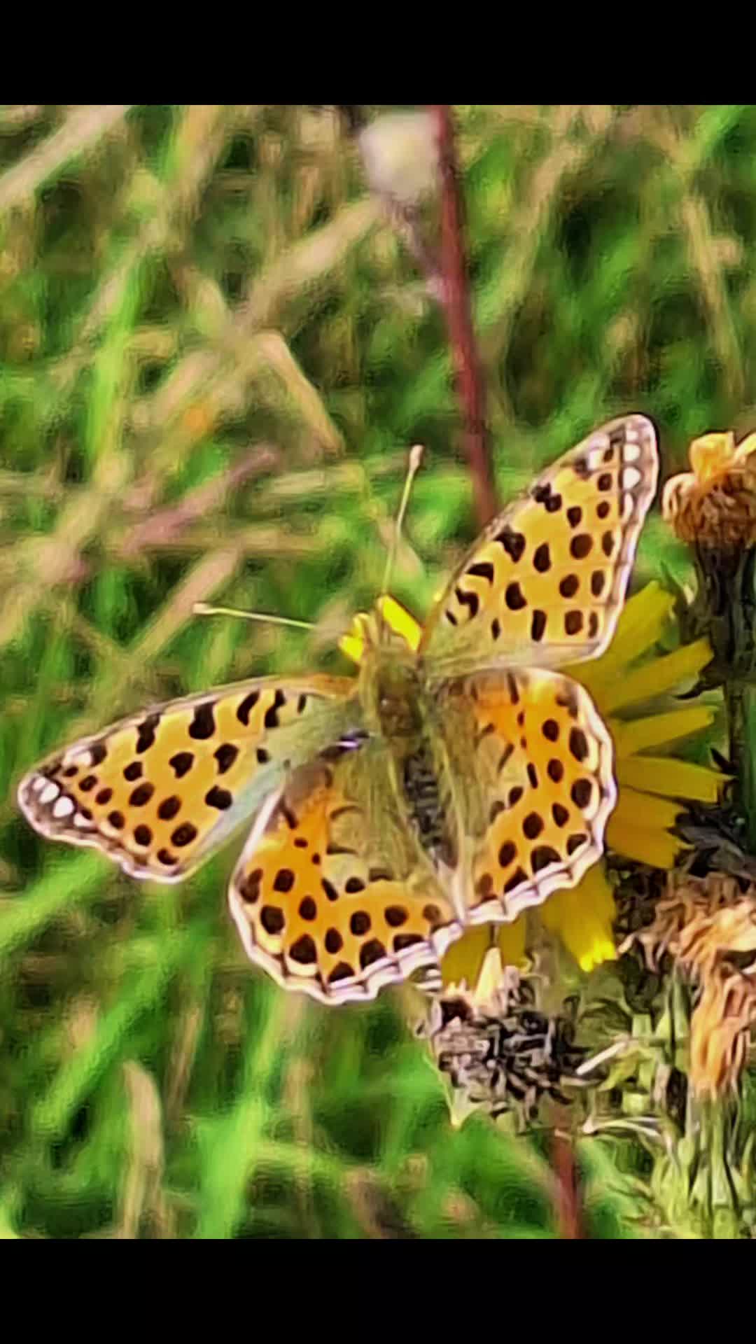 @Natur und Garten