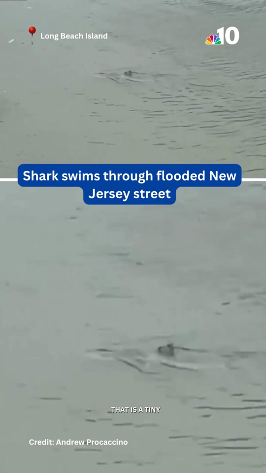 @nbcphiladelphia