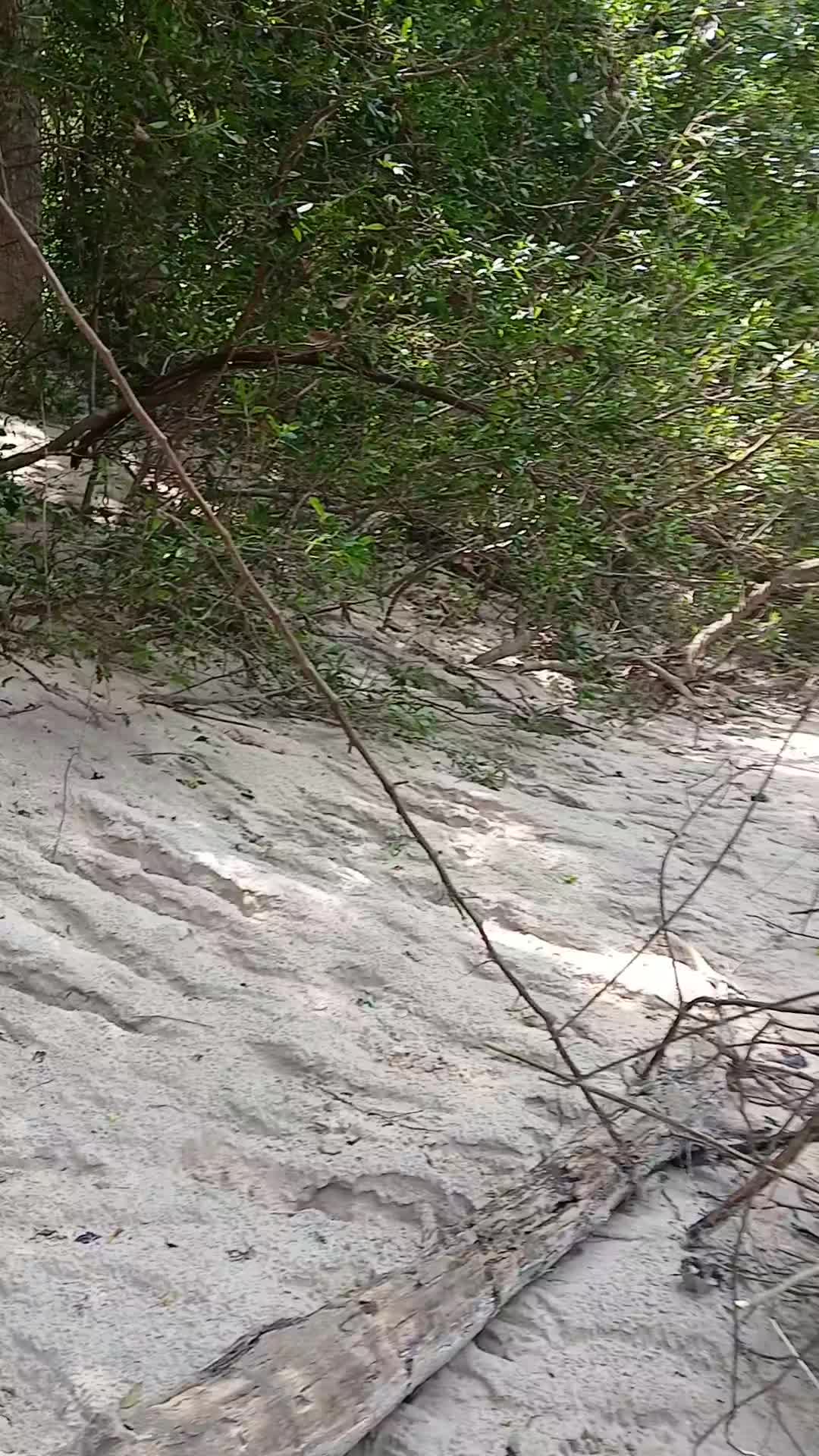 @MuddyFeet...