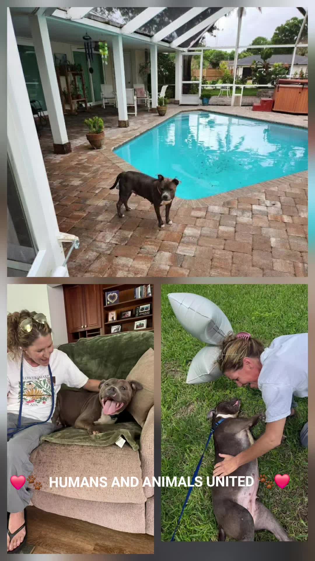 @HumansAndAnimalsUnited