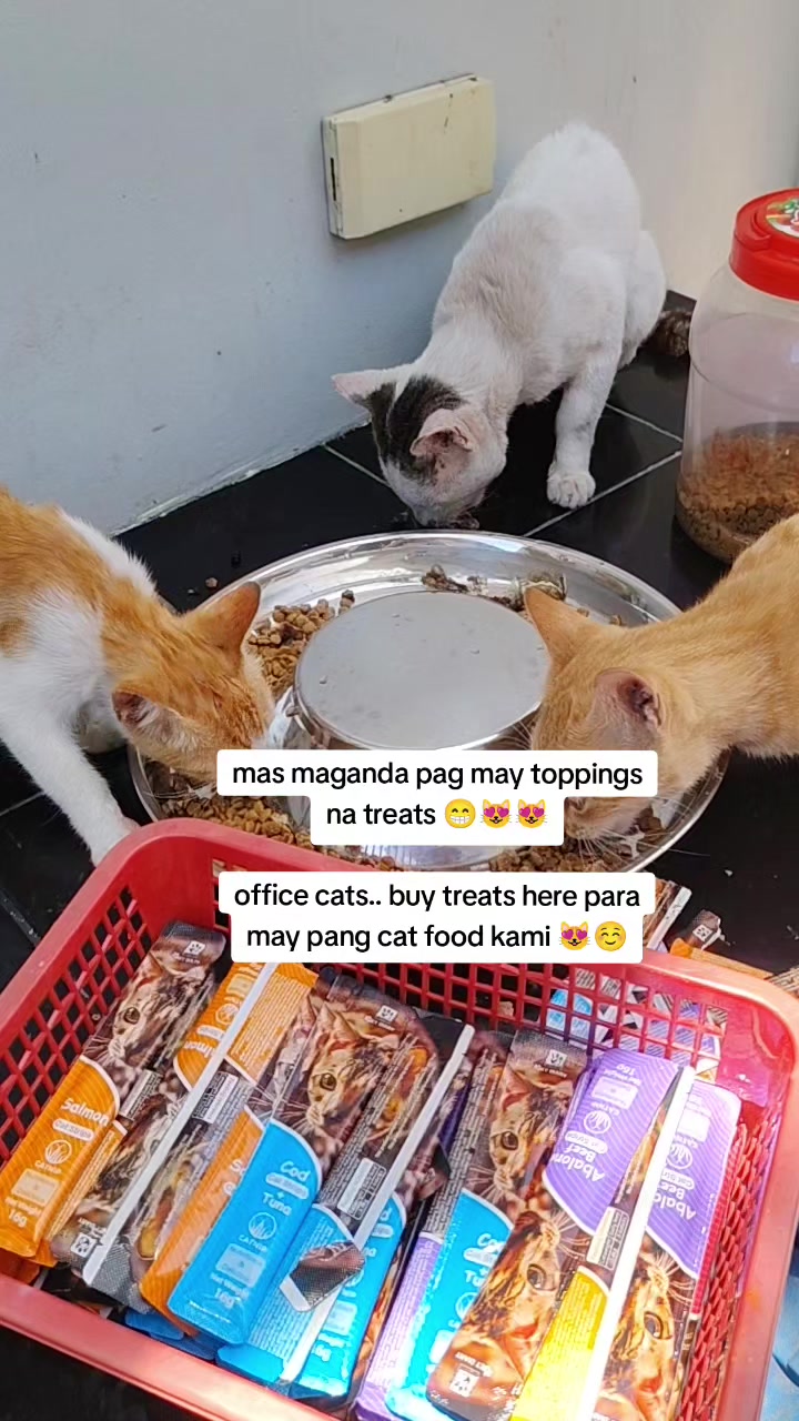 @Comsreen🌻