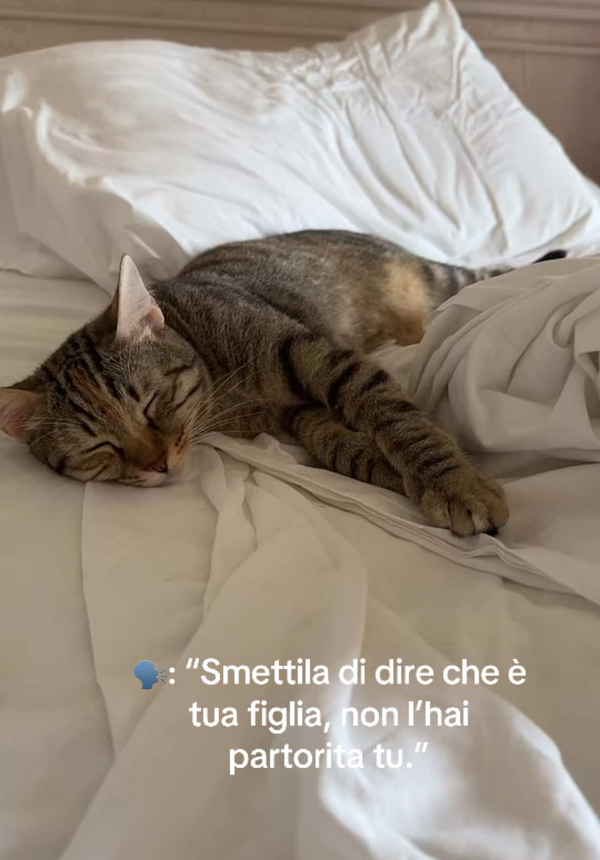 @lakatiaa🎀
