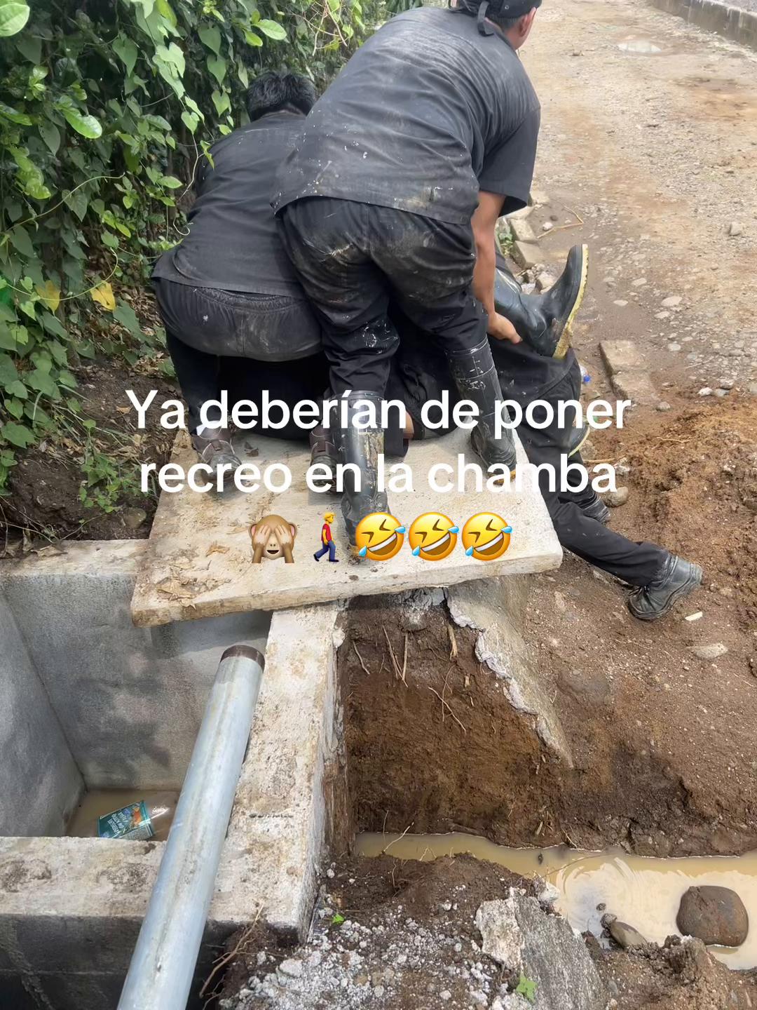@ꛕͲ_EPY 