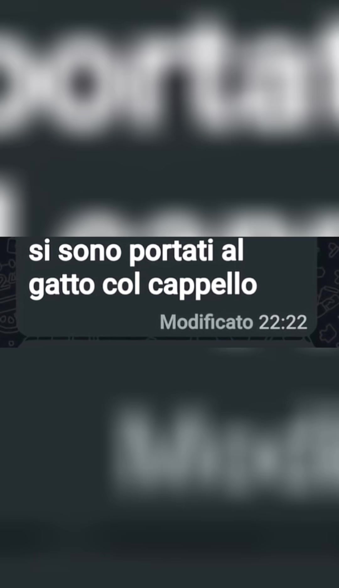 @Gatto con il cappello