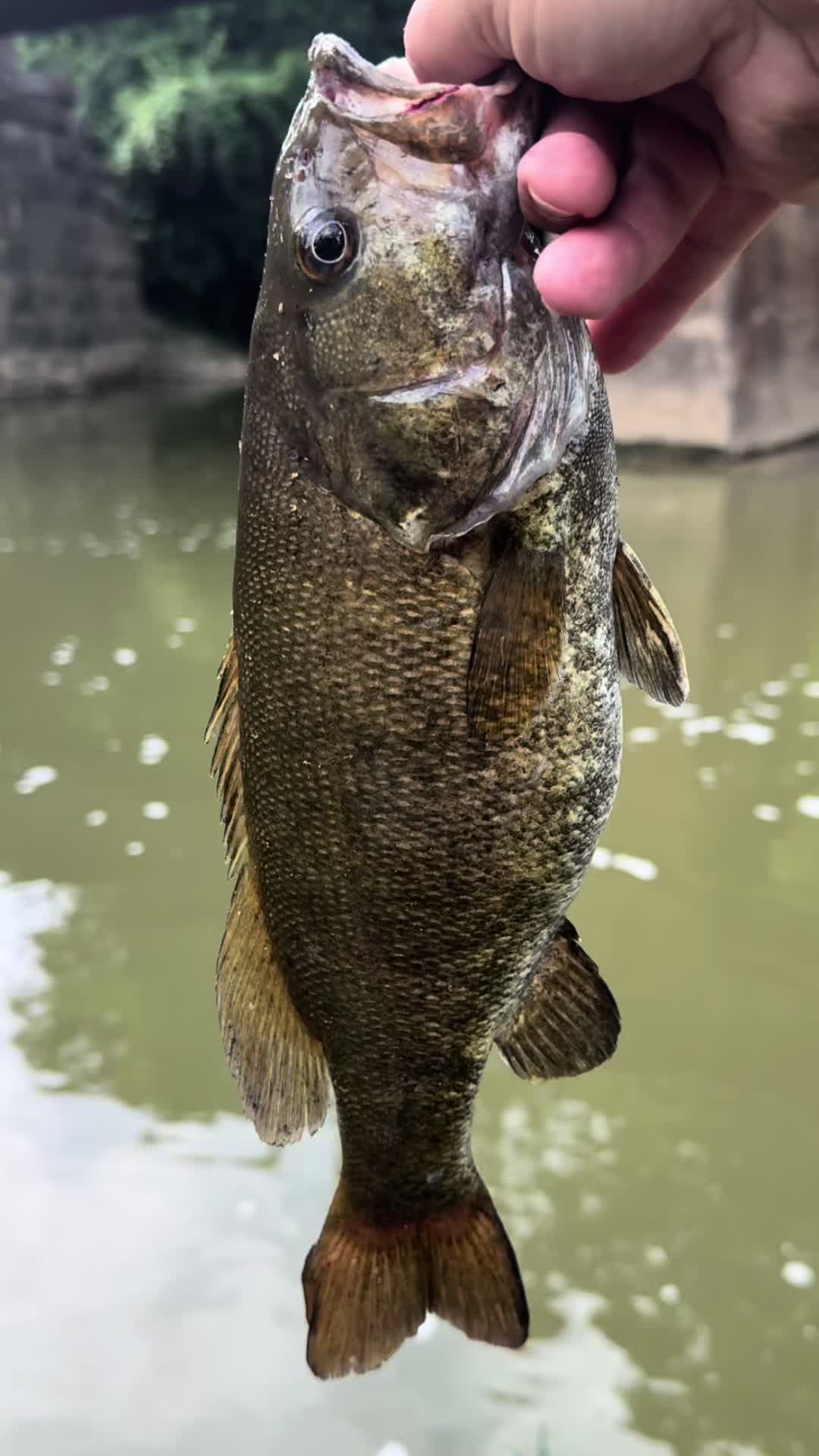 @Kentucky Fishing
