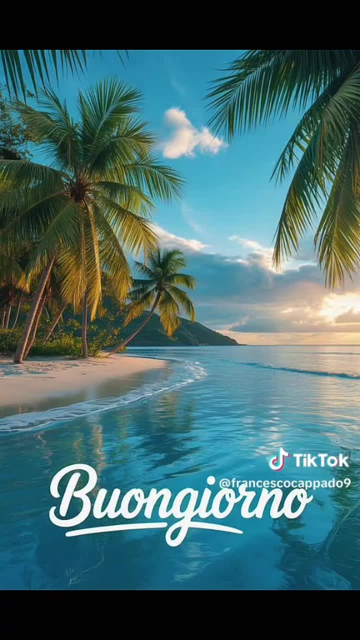 @Salvo Virgillito952