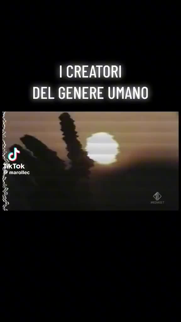 @vinci236