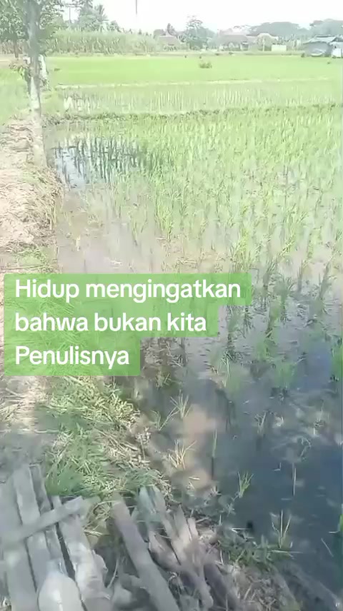 @AZIZAHH