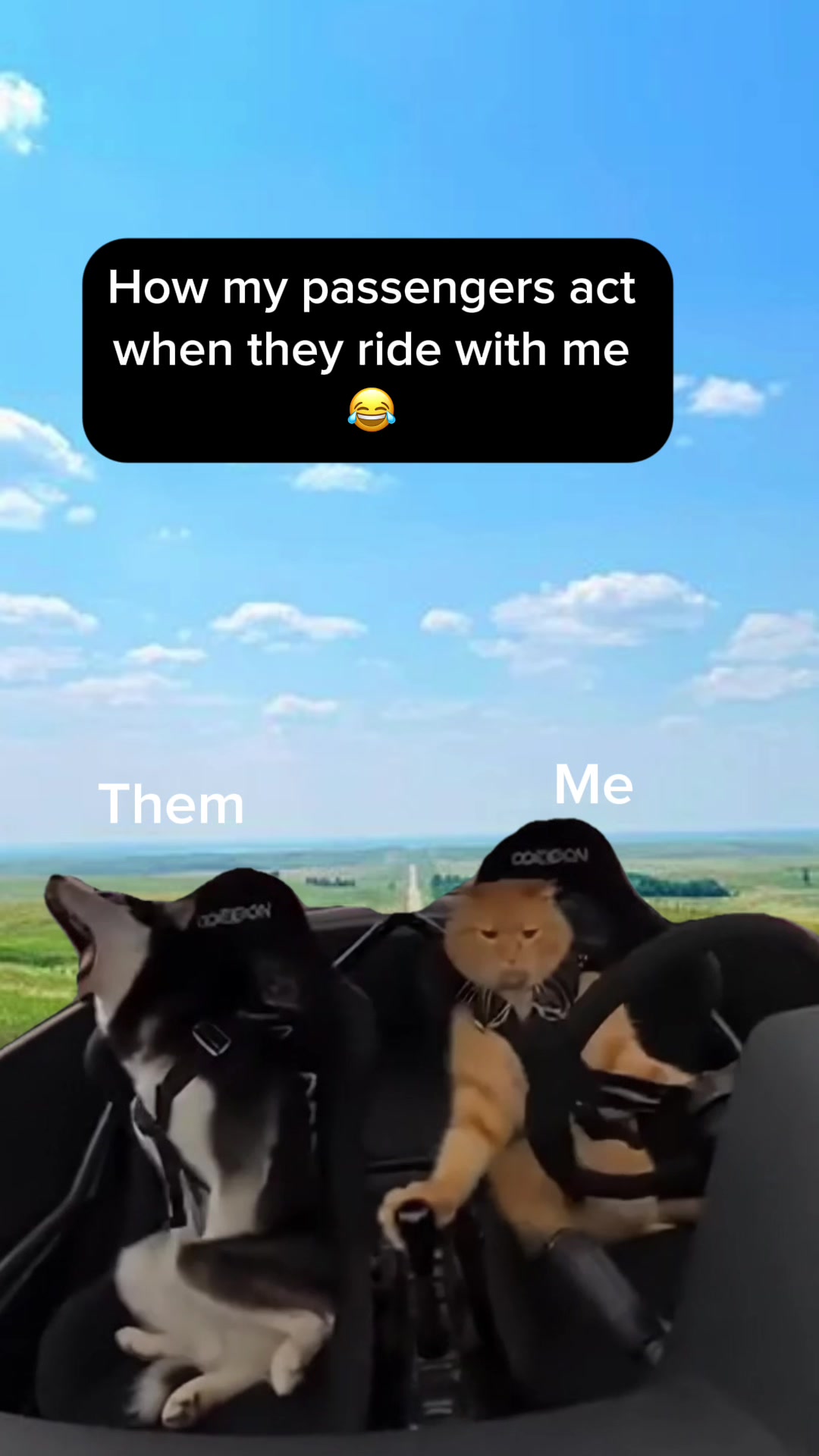 @Amanda