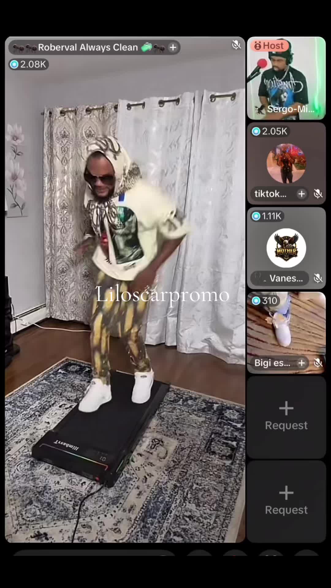 @Liloscarpromo