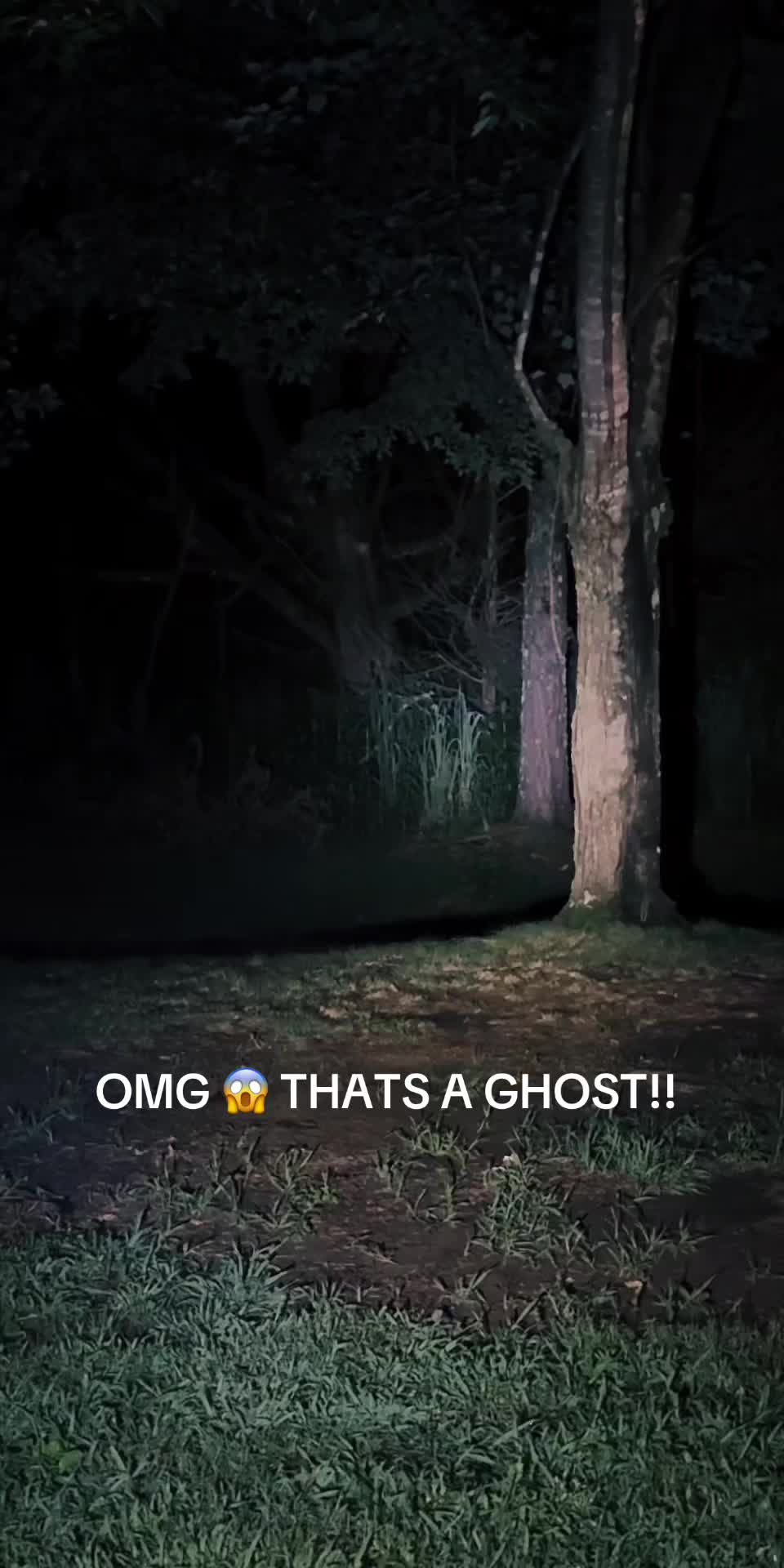 @👻✨Porchlight Paranormal✨👻