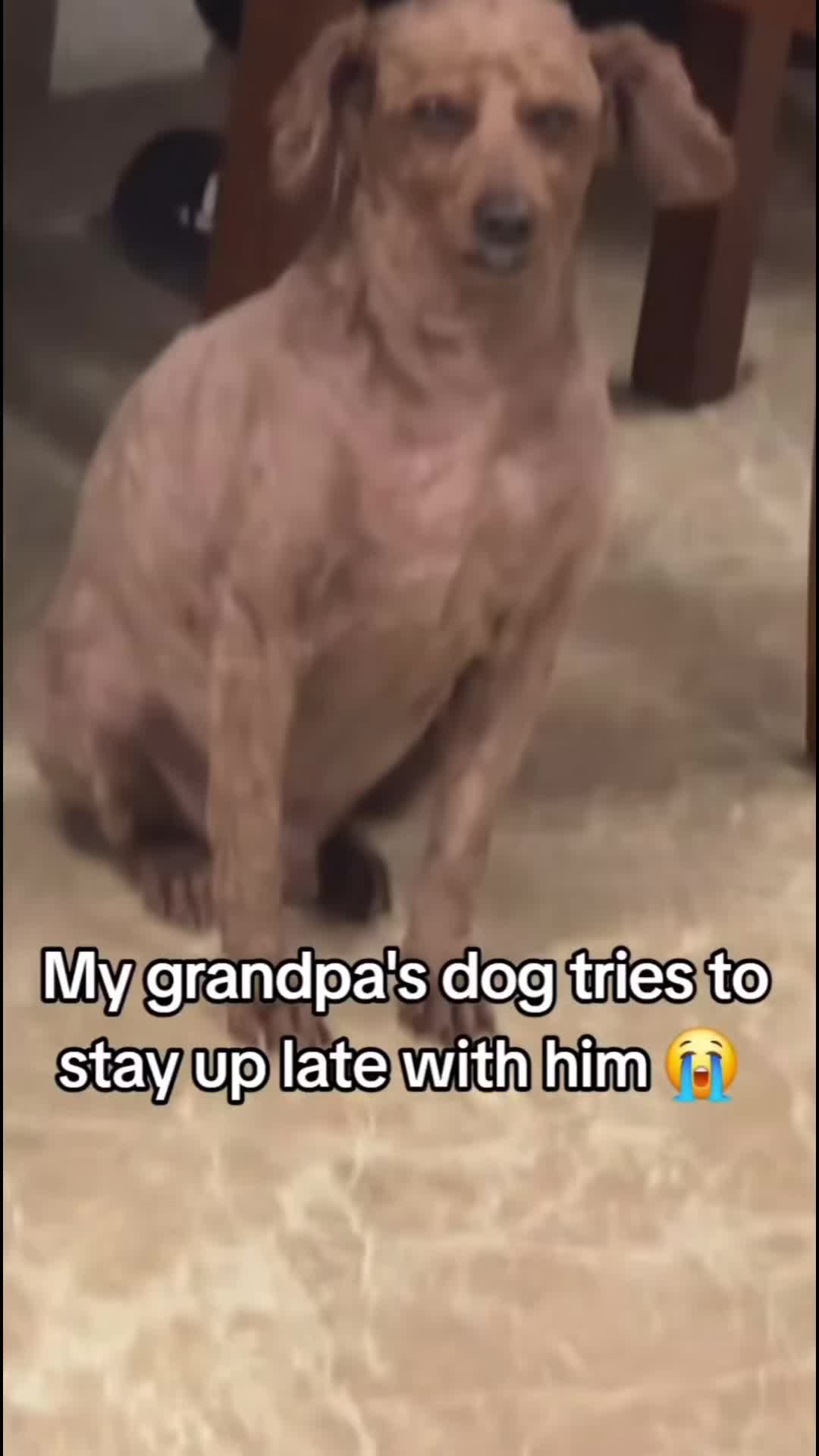 @Hxbitz
