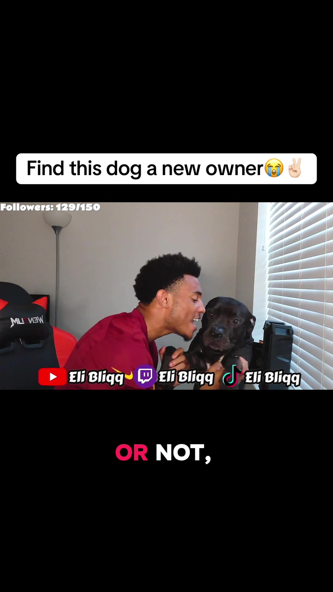 @eli_bliqq