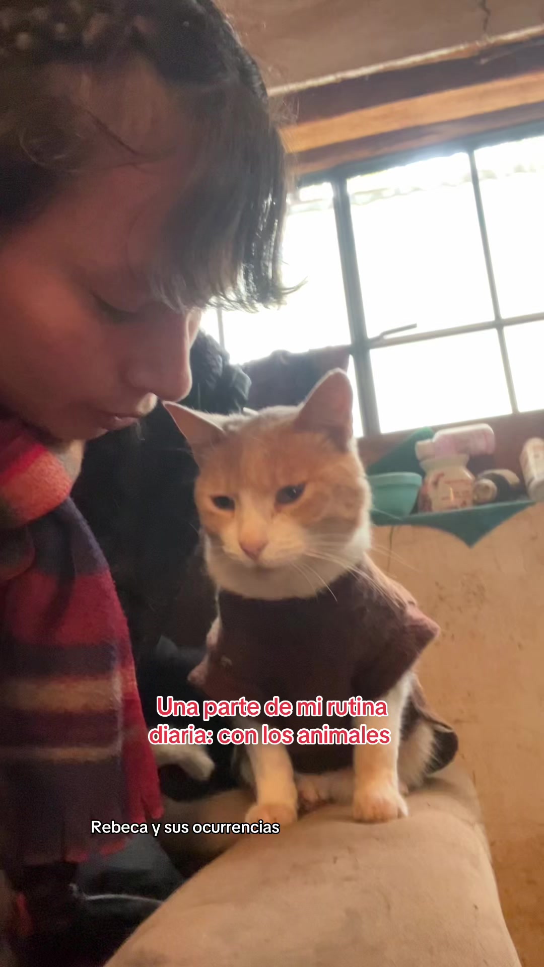 @🐈Rebeca y sus ocurrencias