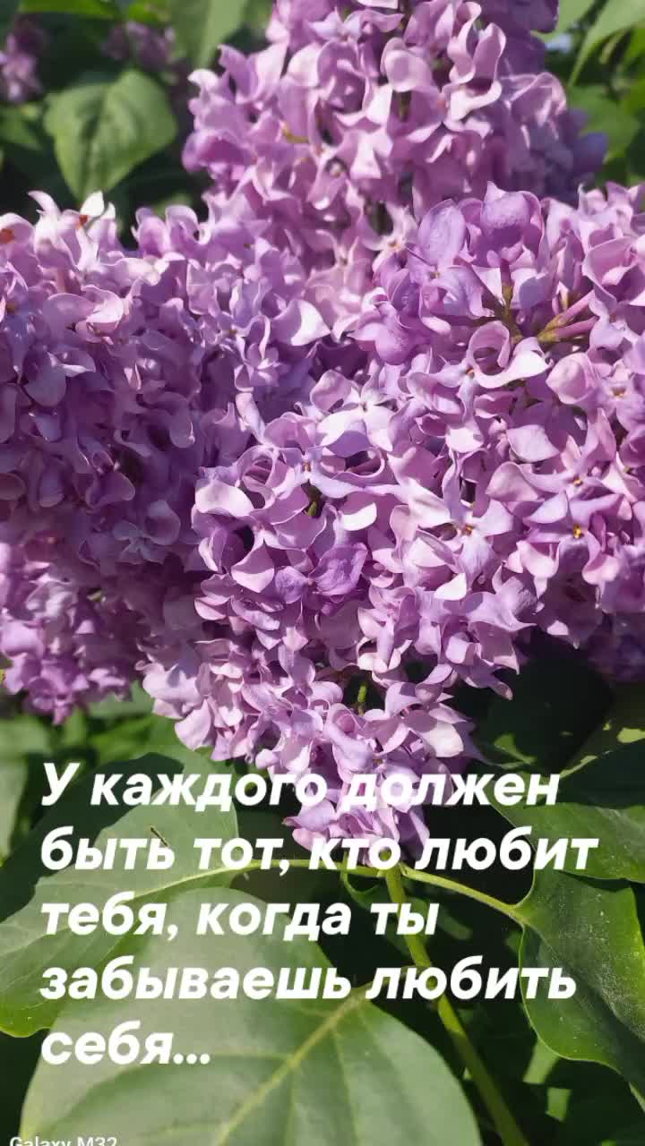 @Ирина