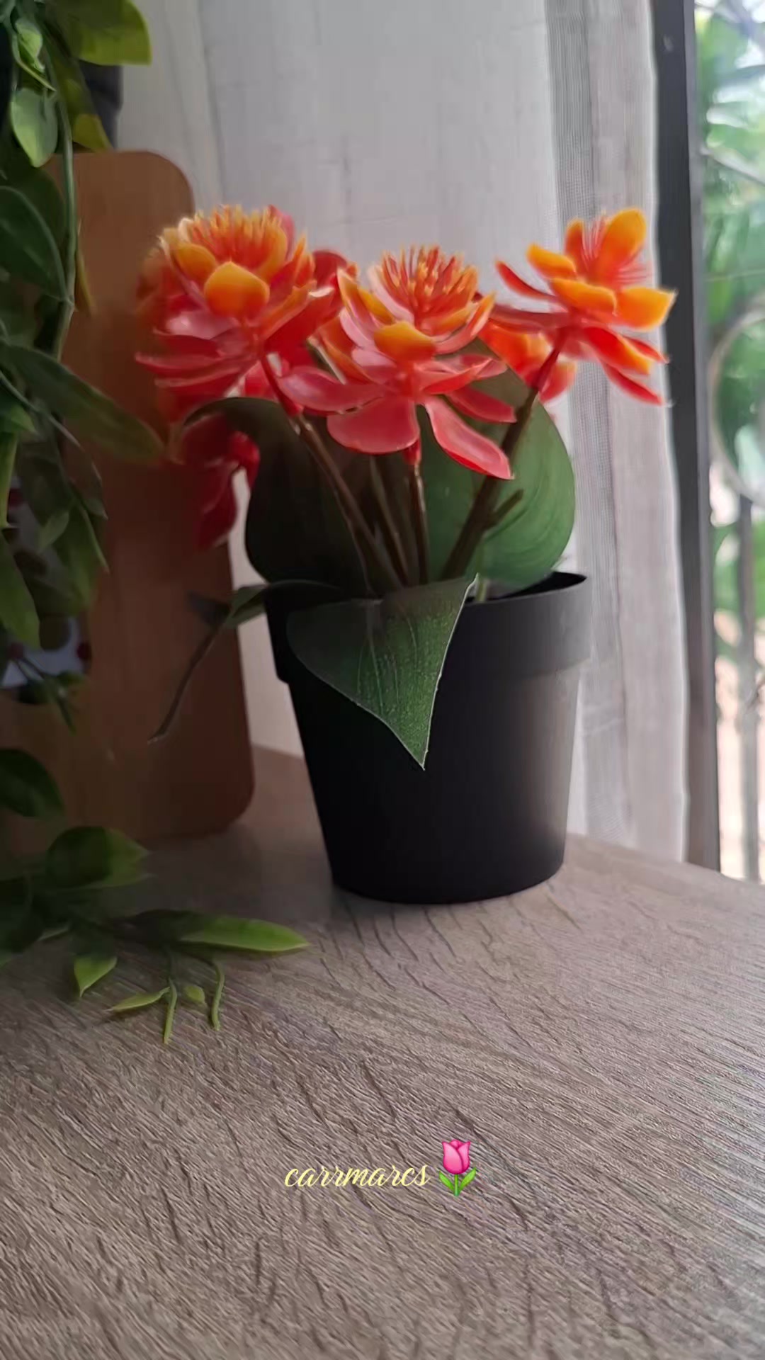 @CarrMarcs🌷