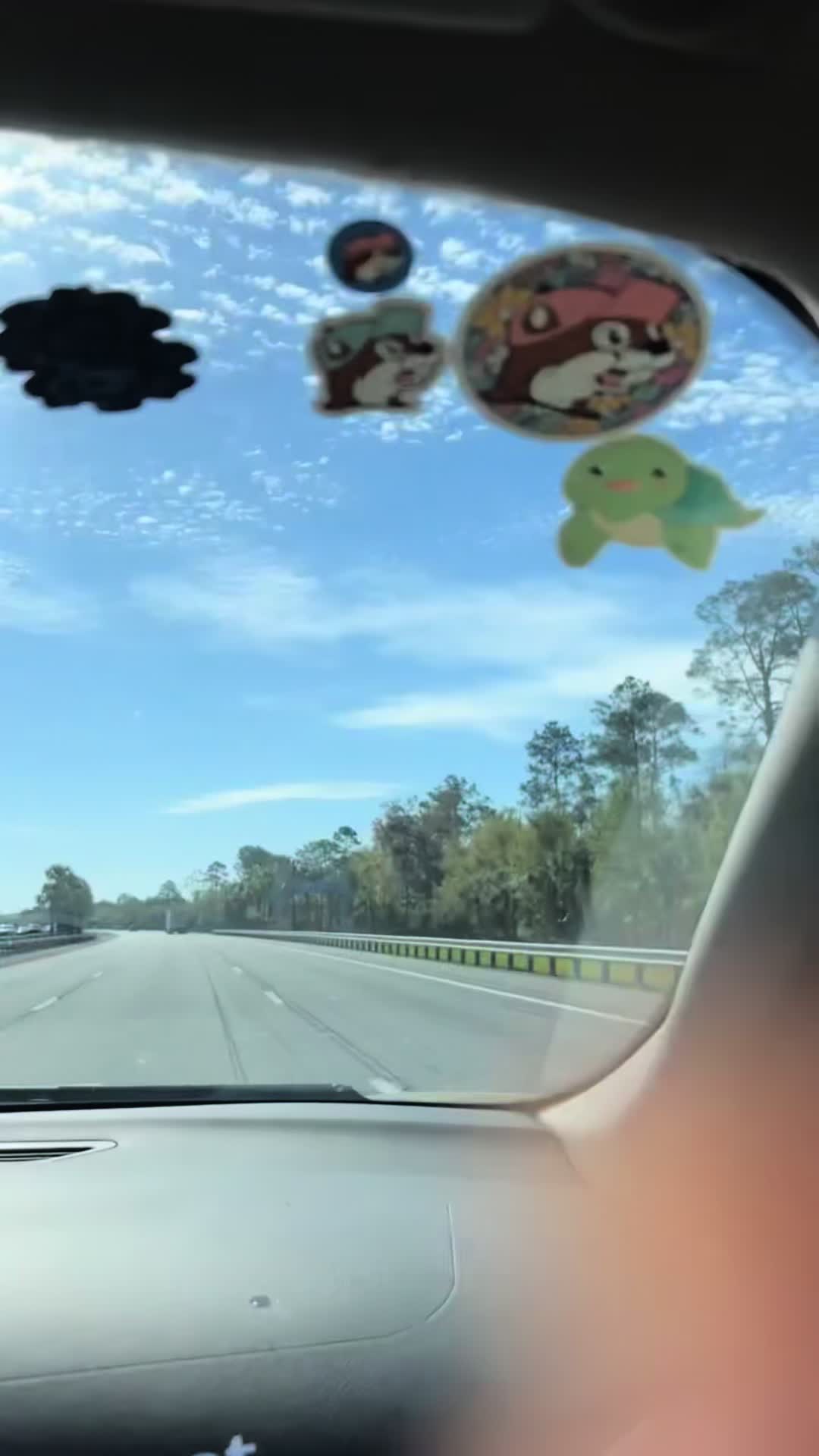 @Lulu Lulu 🦖