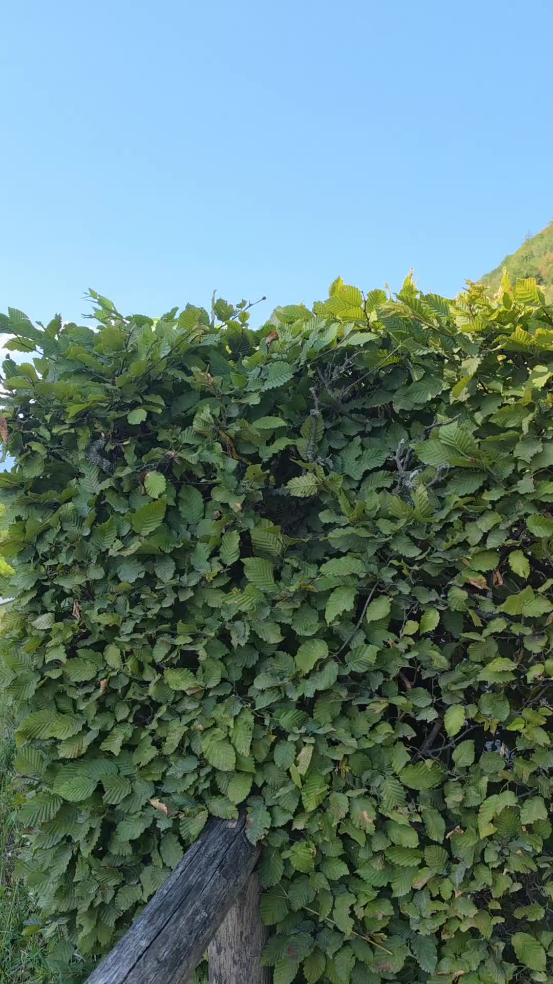 @AnjVentures
