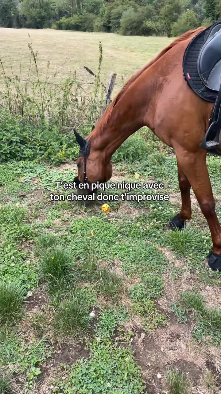 @Rolly&compagnie