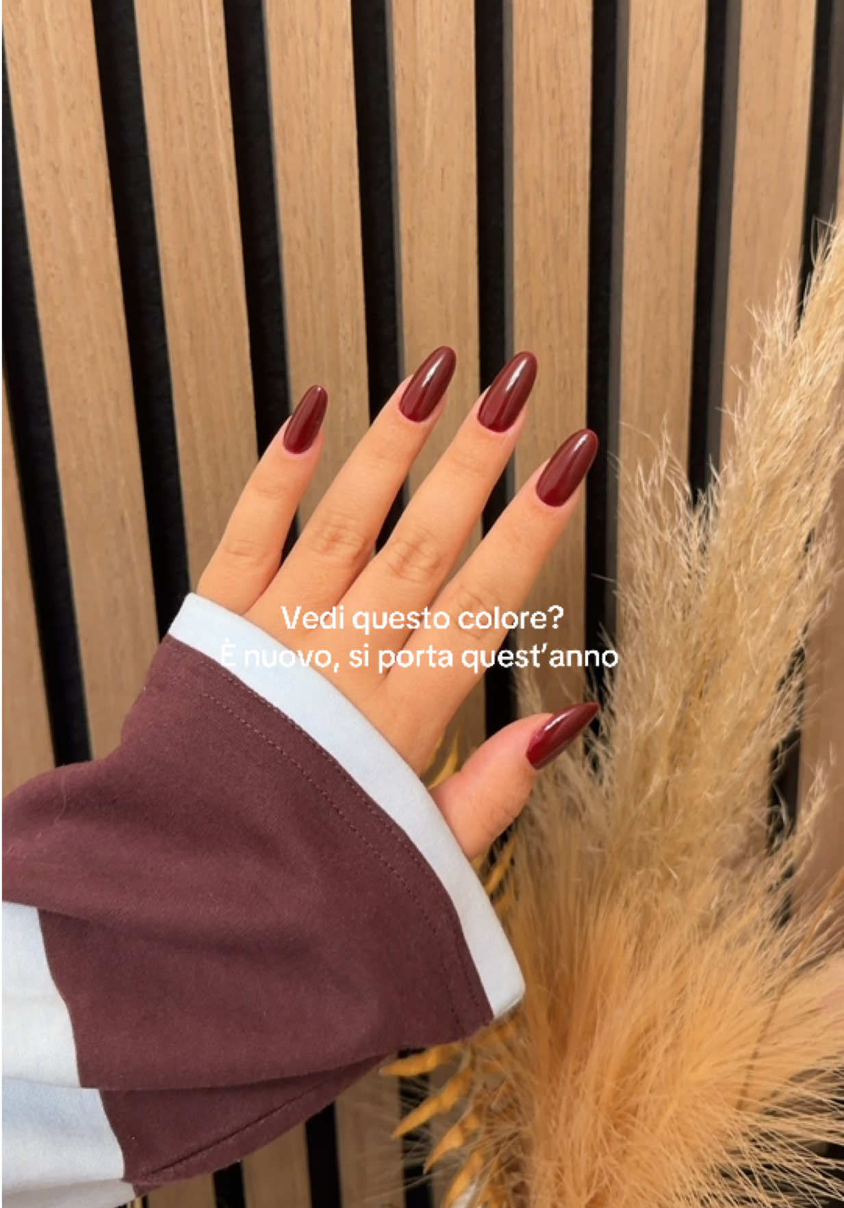 @Sara Lazellari