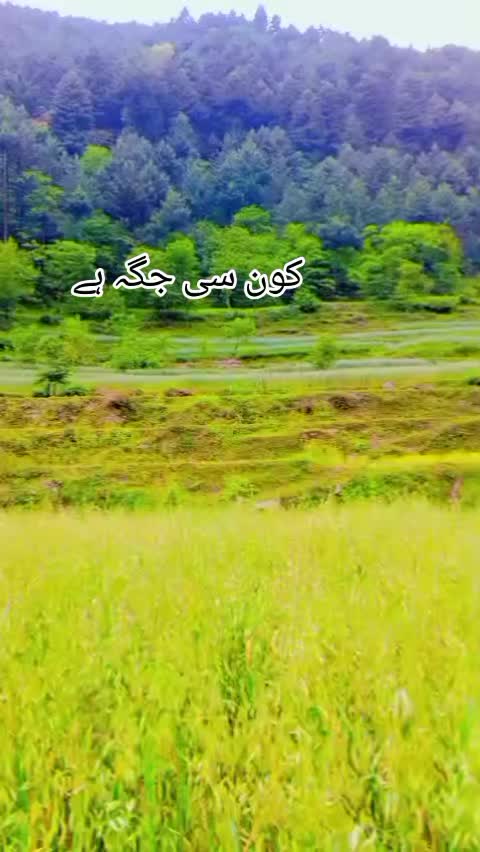 @انجان لڑکی