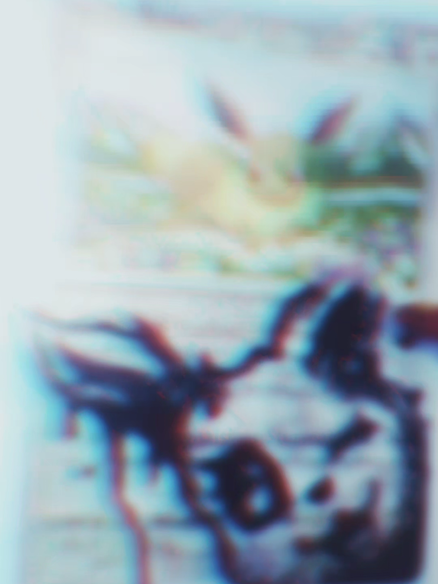 @mewmewmew ๐๐ฉท