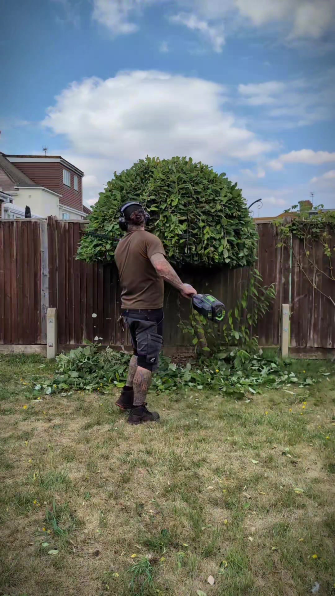 @Gary Hall Garden Services