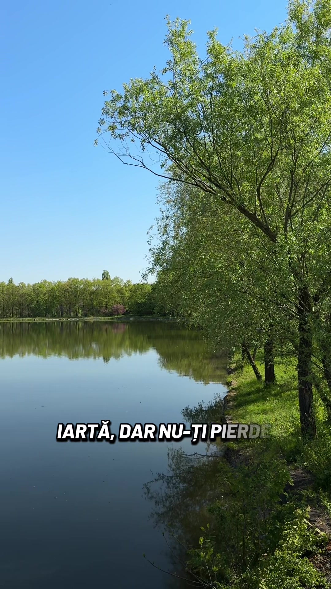 @Gânduri în cuvinte