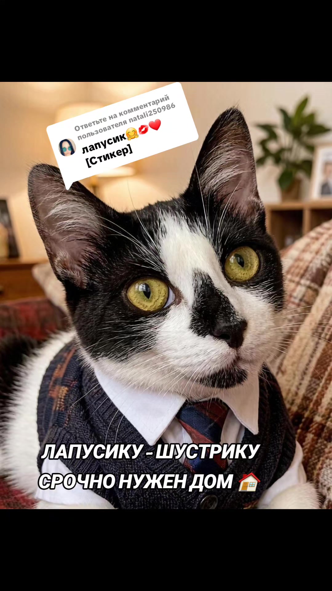 @marinka20_09