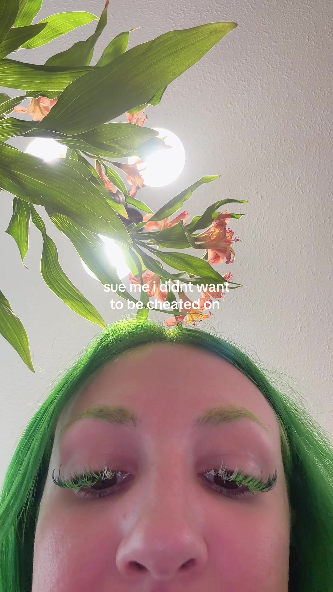 @greeneggsandfran