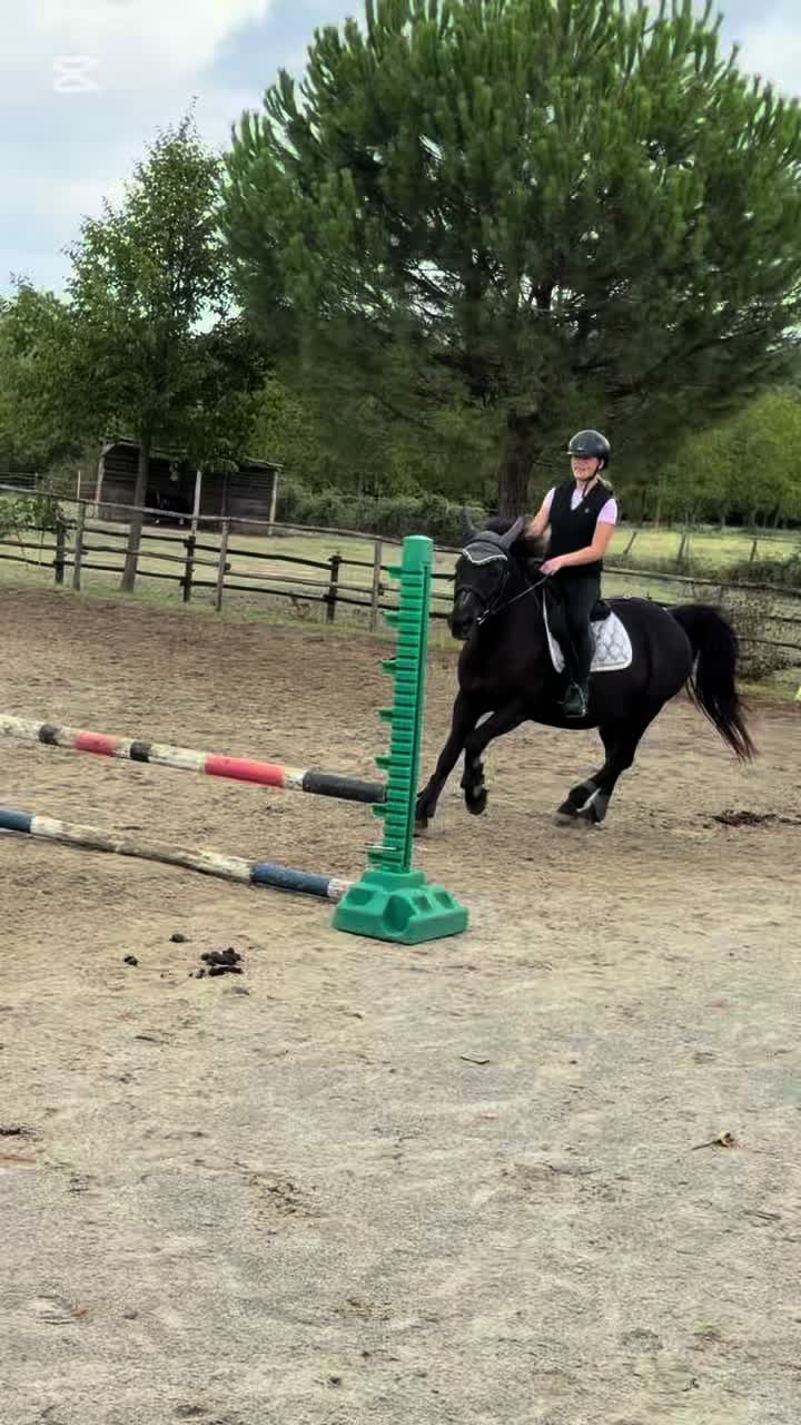 @🖤𝓖𝓲𝓷𝓮&𝓡𝓮𝓭🖤